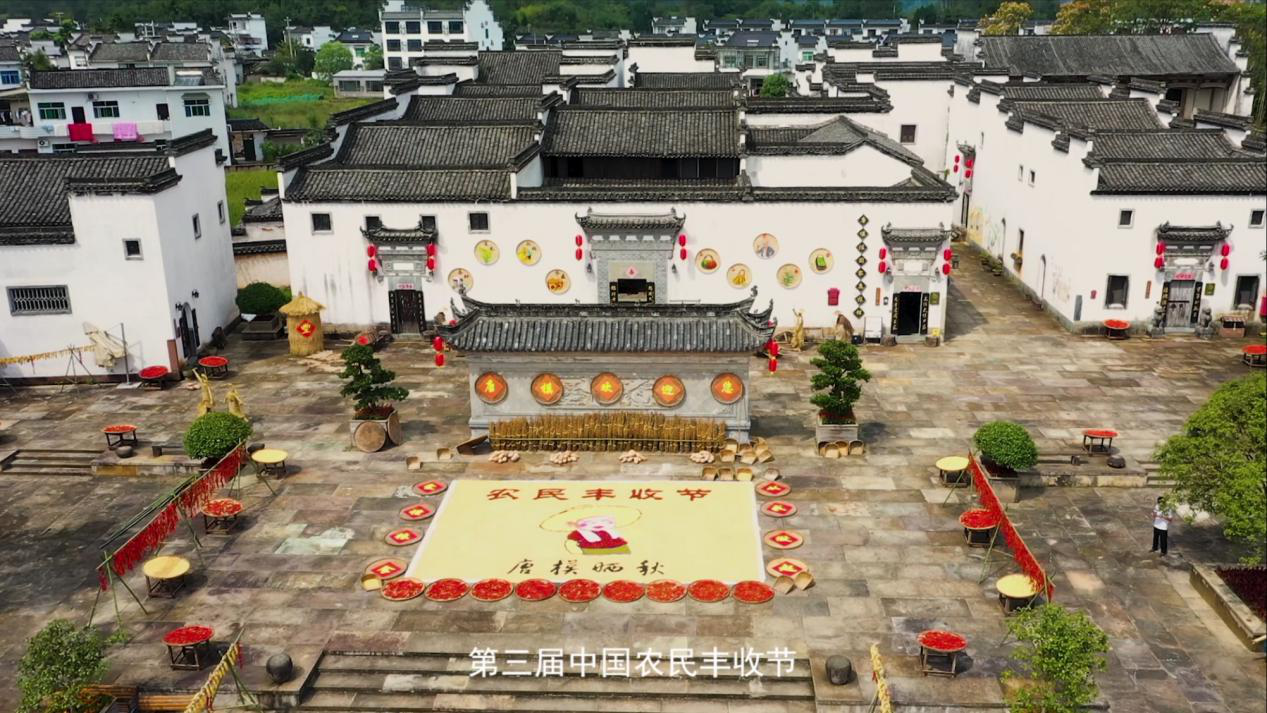 唐模Z6尊龙凯时公司“庆丰收·迎佳节”农耕文化系列活动被央视新闻展播